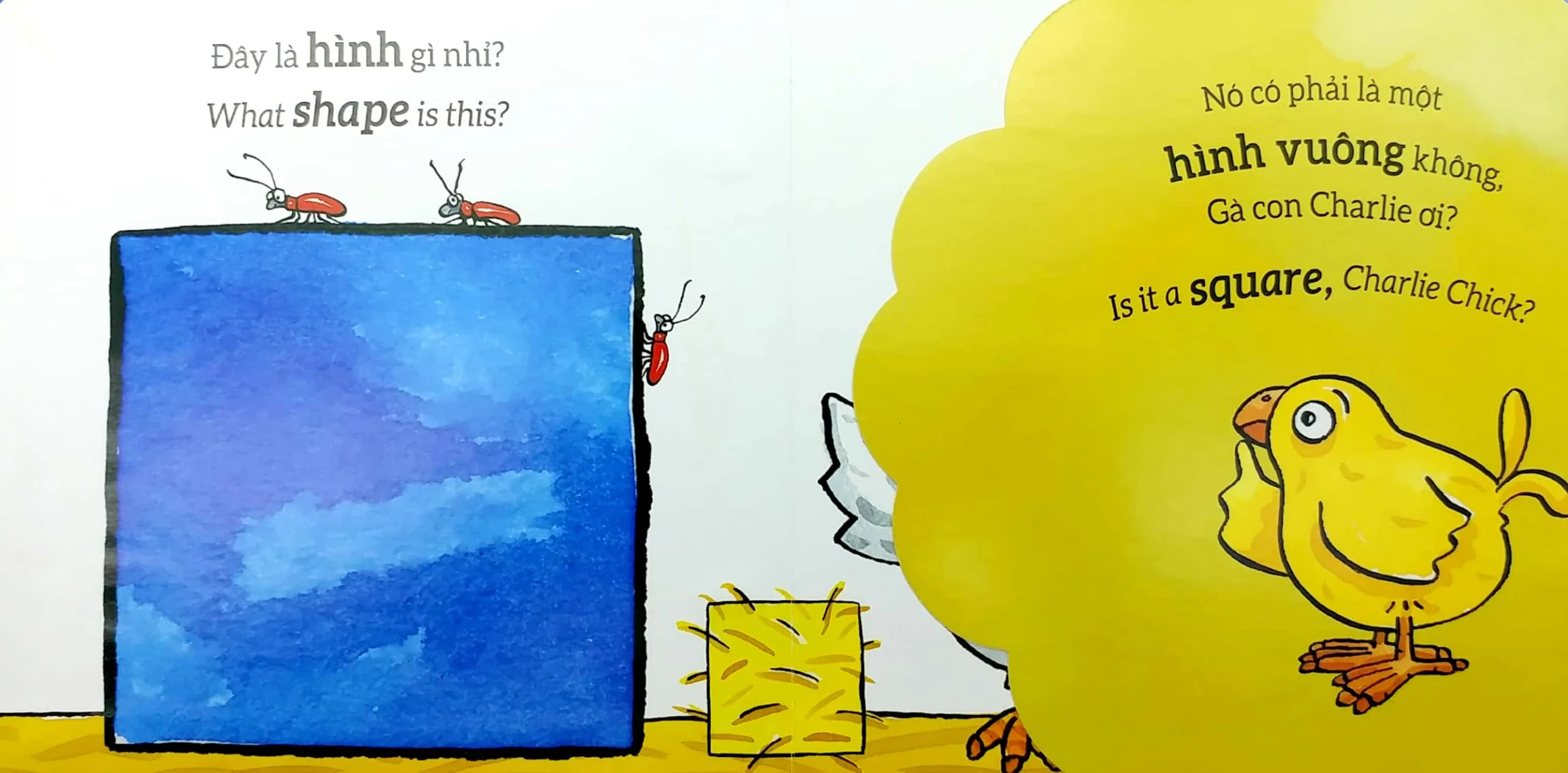 Tương tác lật mở - Hình dạng - Shapes – Image 5