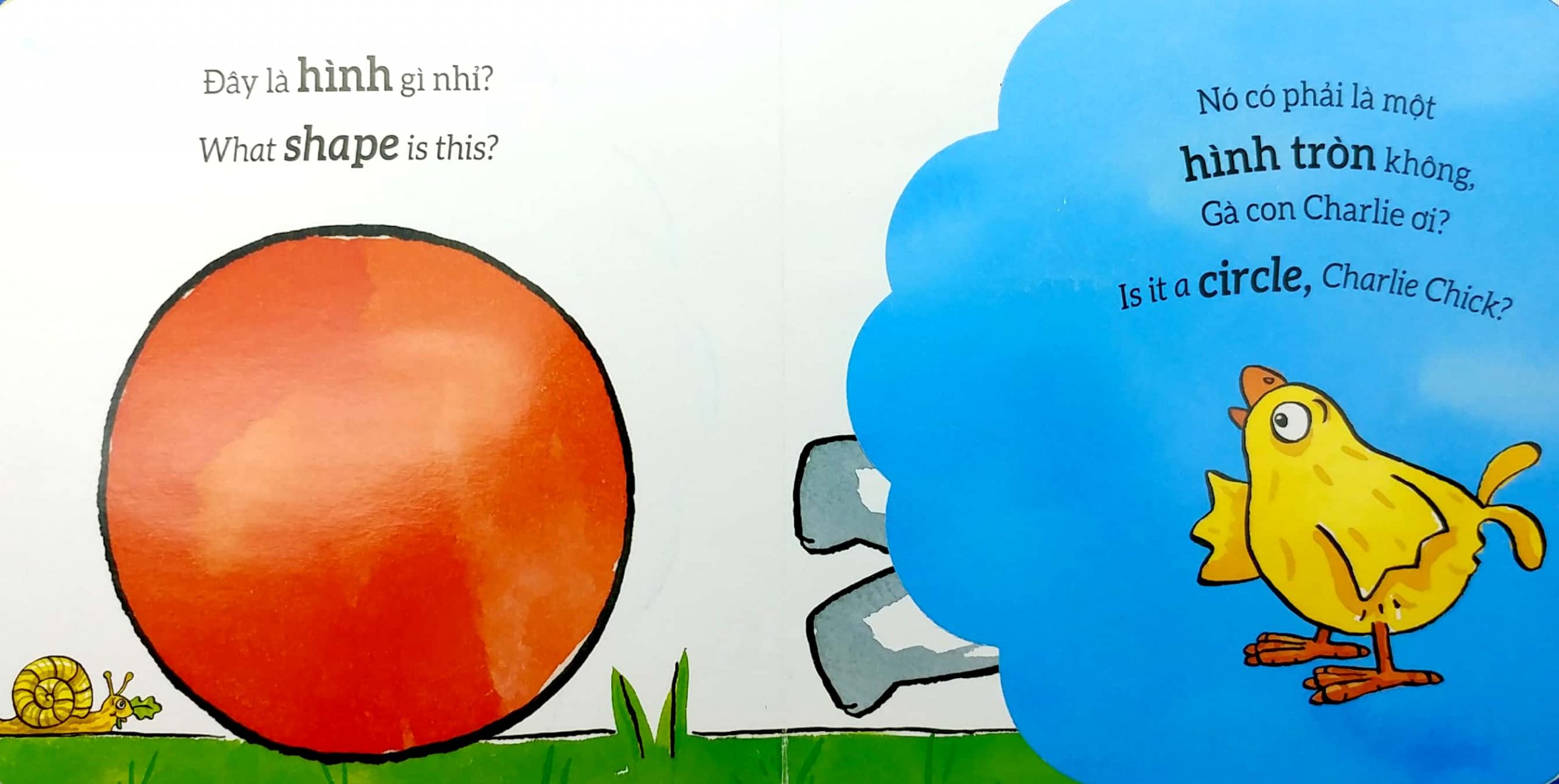 Tương tác lật mở - Hình dạng - Shapes – Image 4