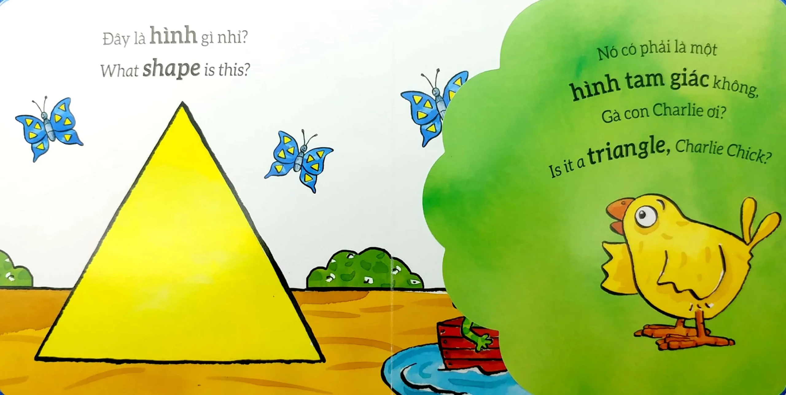 Tương tác lật mở - Hình dạng - Shapes – Image 3