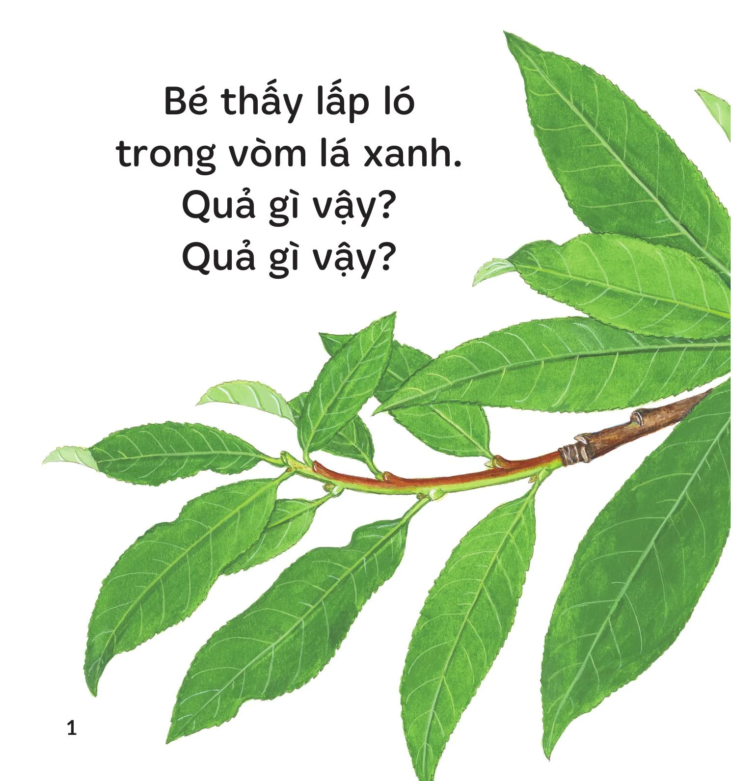 Ú òa - Quả gì đây? – Image 5
