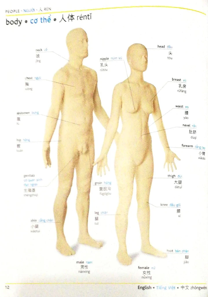Visual English Vietnamese Chinese trilingual dictionary – Image 5