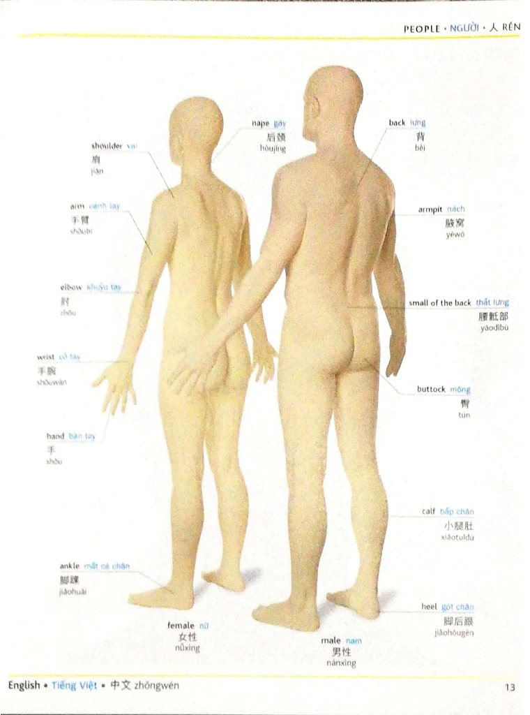 Visual English Vietnamese Chinese trilingual dictionary – Image 4