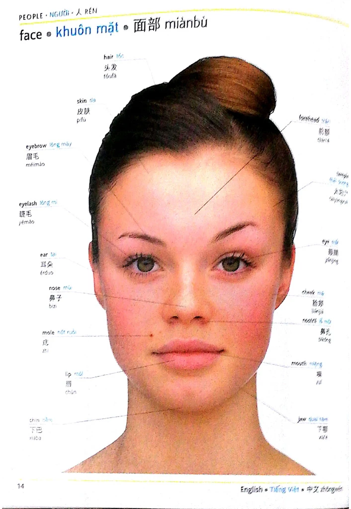 Visual English Vietnamese Chinese trilingual dictionary – Image 3
