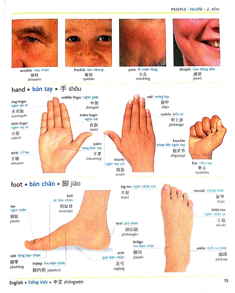 Visual English Vietnamese Chinese trilingual dictionary – Image 2