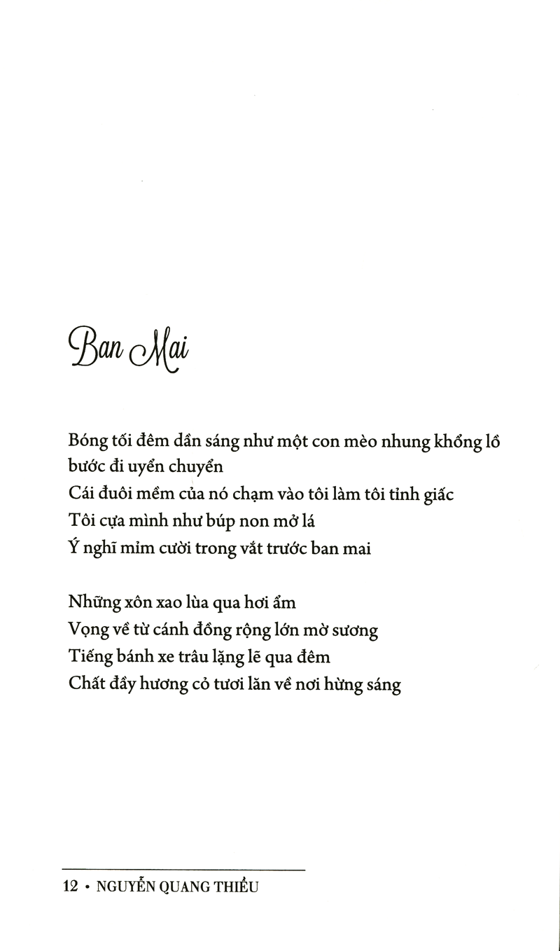 Sự mất ngủ của lửa – Image 2