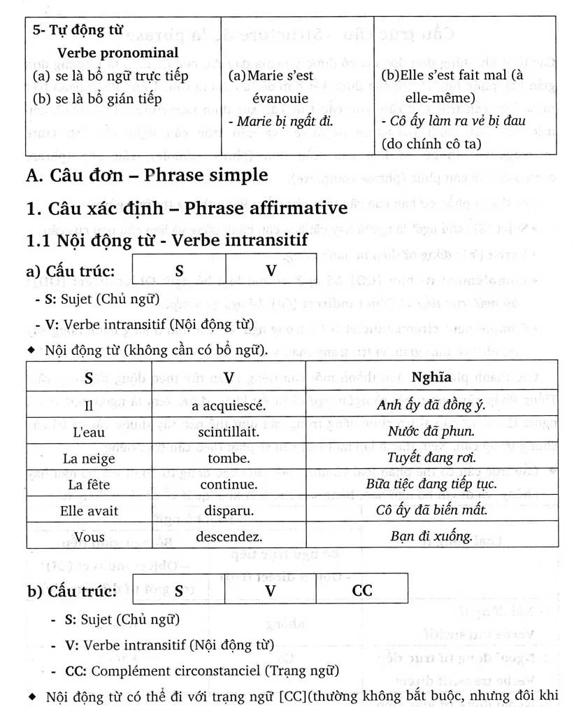 Văn phạm tiếng Pháp căn bản – Image 3